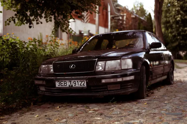 WinFest Casino Android/iOS-app